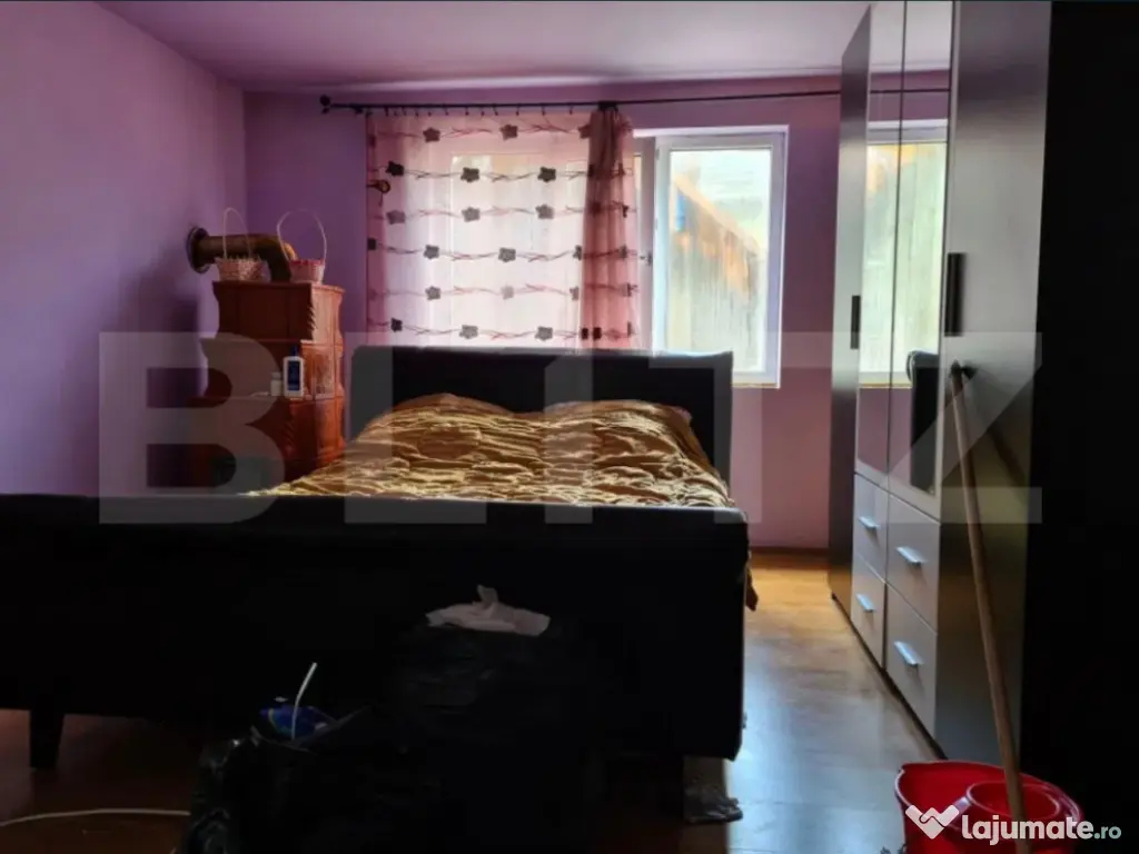 Case individuale, 300mp util,3000mp teren, zona Serbauti