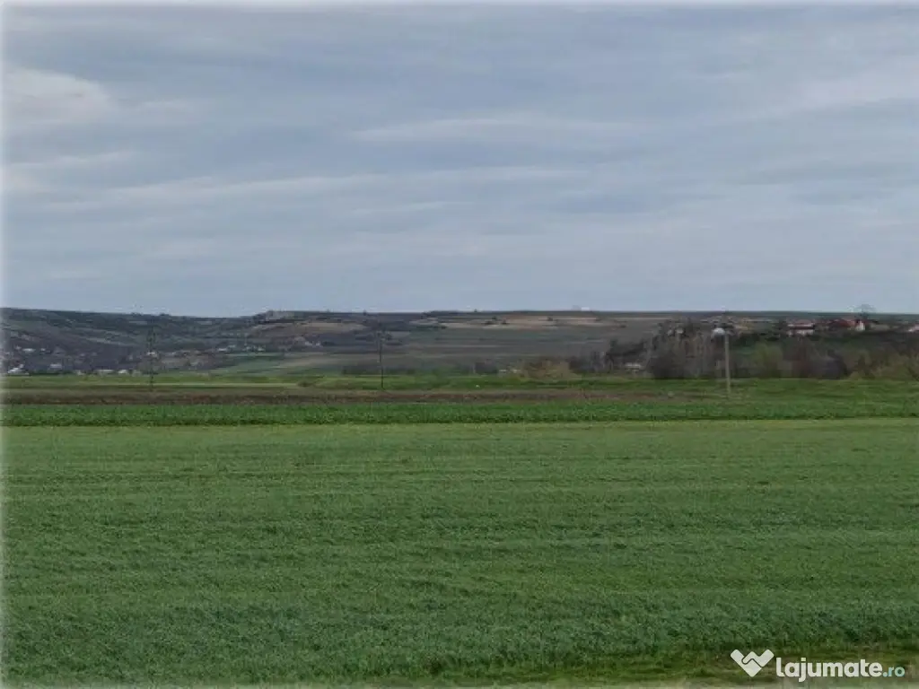 Teren Andrieseni, cota parte 1/20, ID: R2603082 