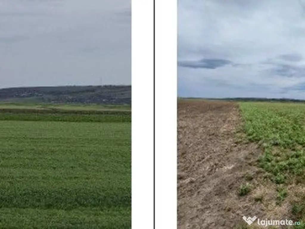 Teren Andrieseni, cota parte 1/20, ID: R2603082 