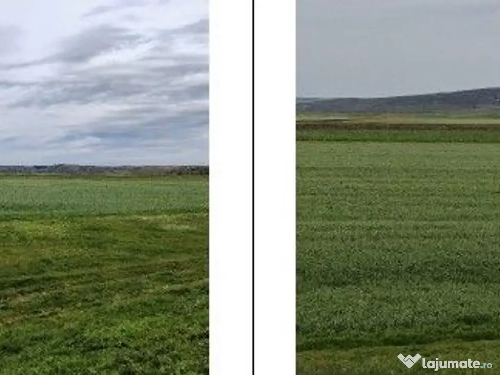 Teren Andrieseni, cota parte 1/20, ID: R2603082 