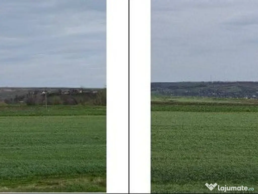 Teren Andrieseni, cota parte 1/20, ID: R2603082 