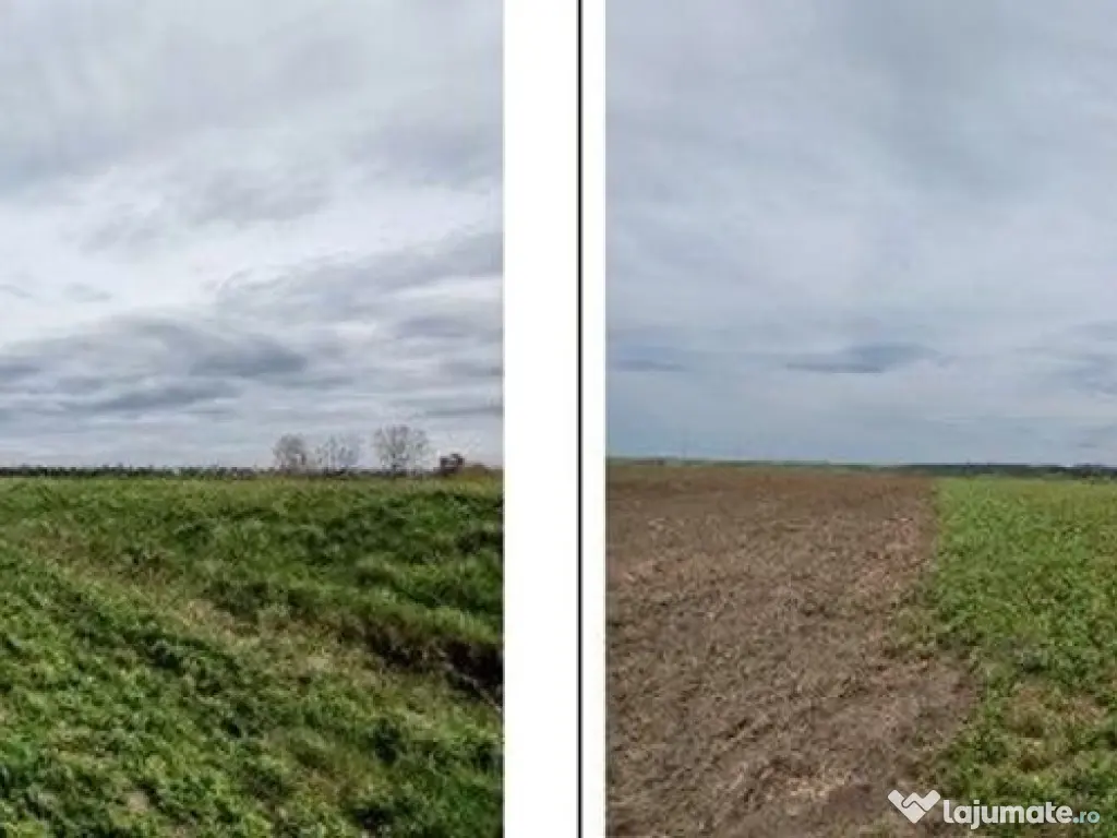 Teren Andrieseni, cota parte 1/20, ID: R2603082 