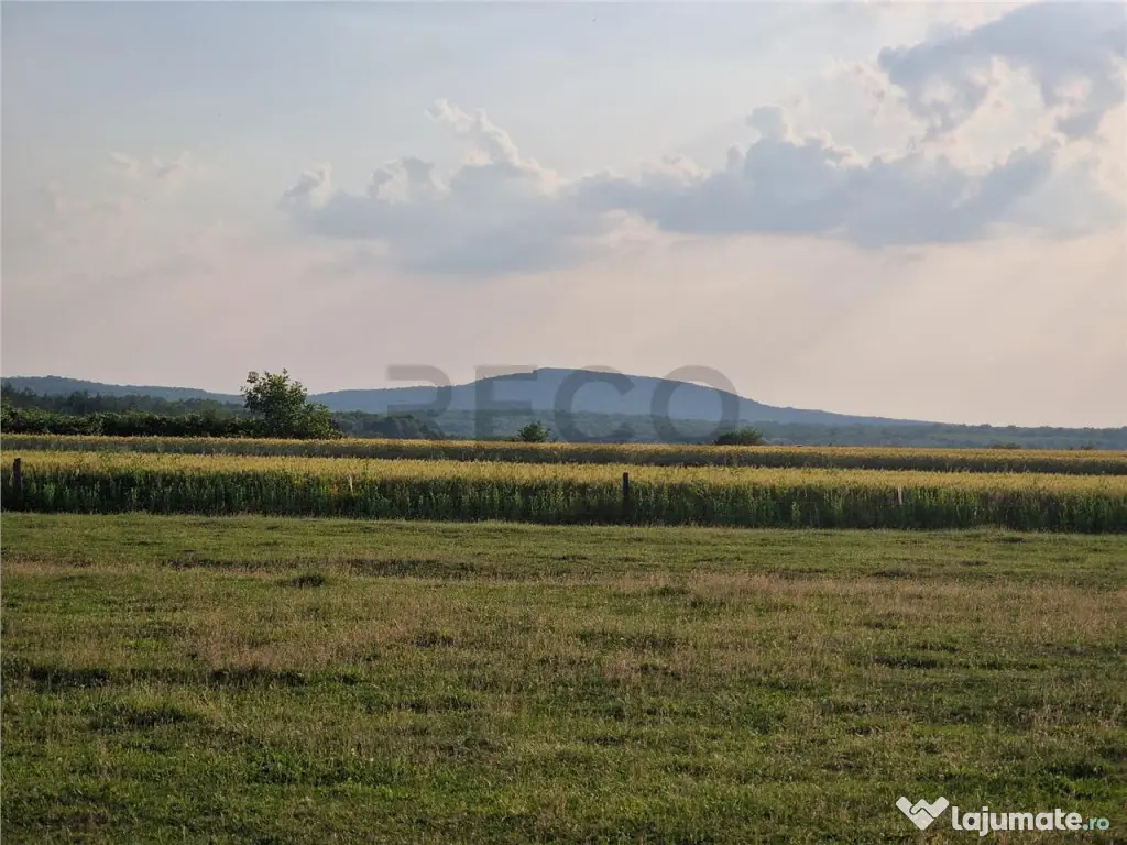 RECO parcele in Felcheriu 