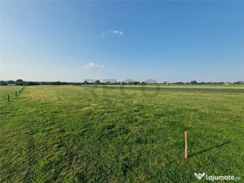 RECO parcele in Felcheriu 