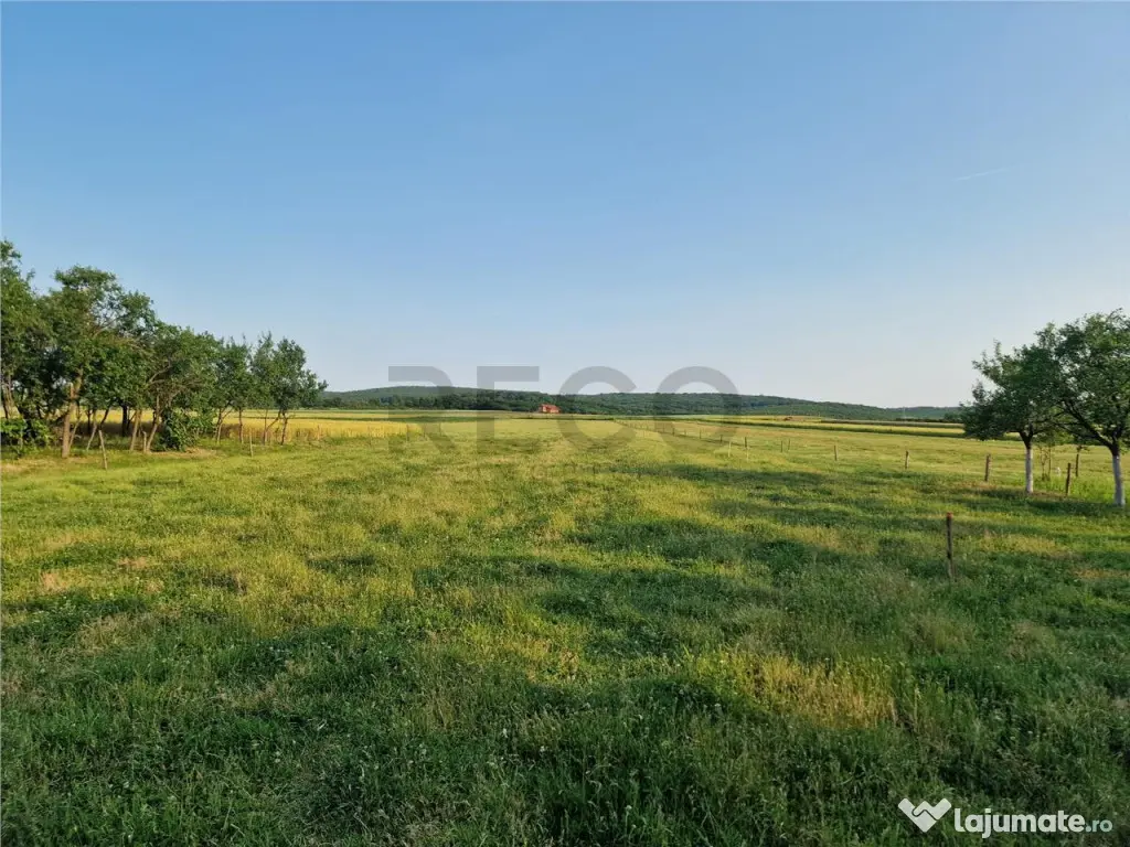 RECO parcele in Felcheriu 