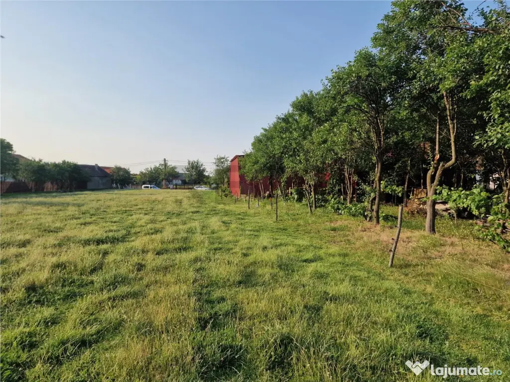 RECO parcele in Felcheriu 