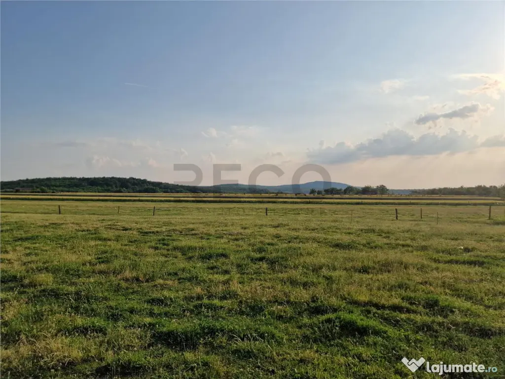 RECO parcele in Felcheriu 