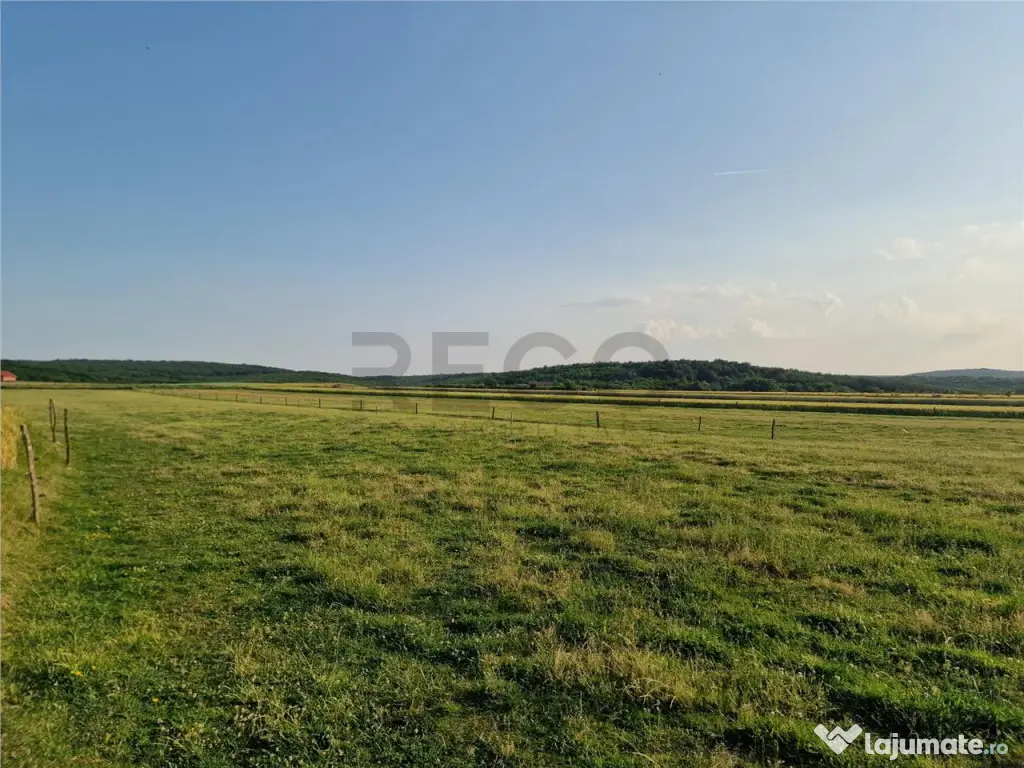 RECO parcele in Felcheriu 