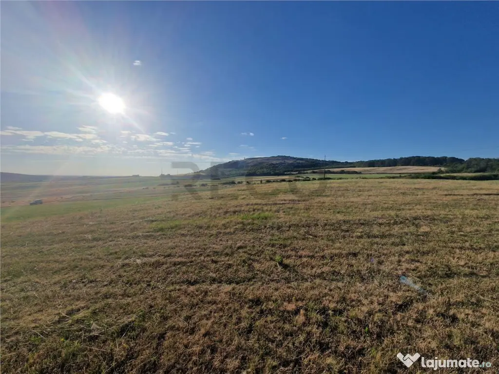 RECO teren extravilan Betfia