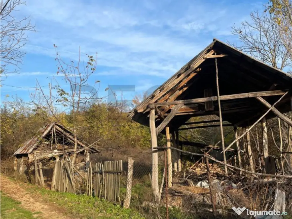 Reco Casa 3 camere si teren 2600mp in Burzuc 