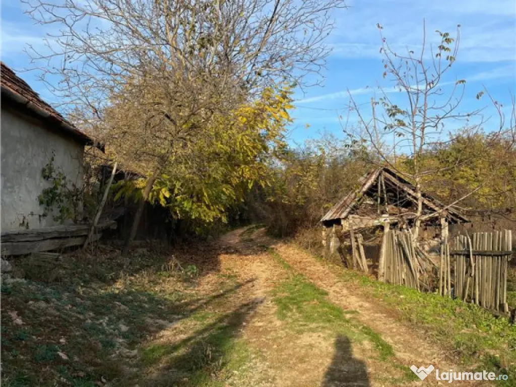 Reco Casa 3 camere si teren 2600mp in Burzuc 