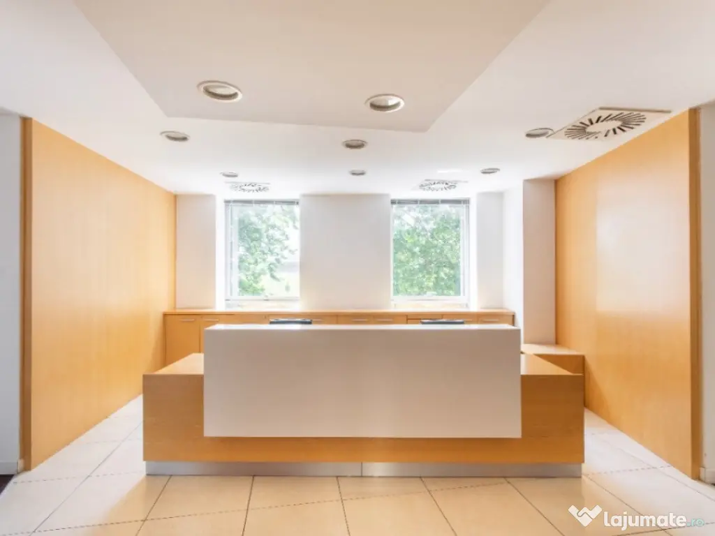 Birouri ce pot fi personalizate pentru 4 persoane în Spaces Campus 6