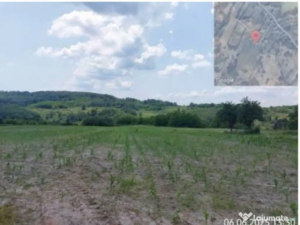 Teren extravilan loc. , Jud Gorj 