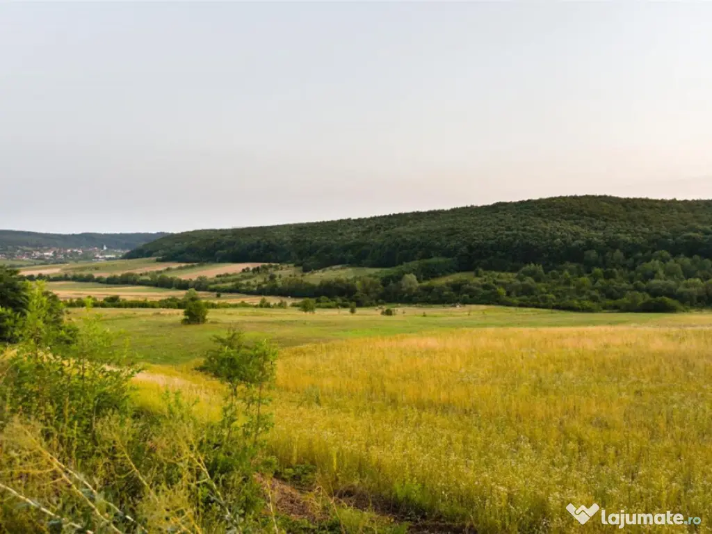 RECO Teren extravilan 11500 mp -Lazareni 