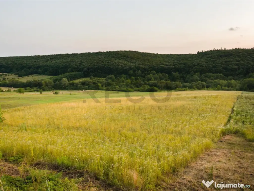 RECO Teren extravilan 11500 mp -Lazareni 