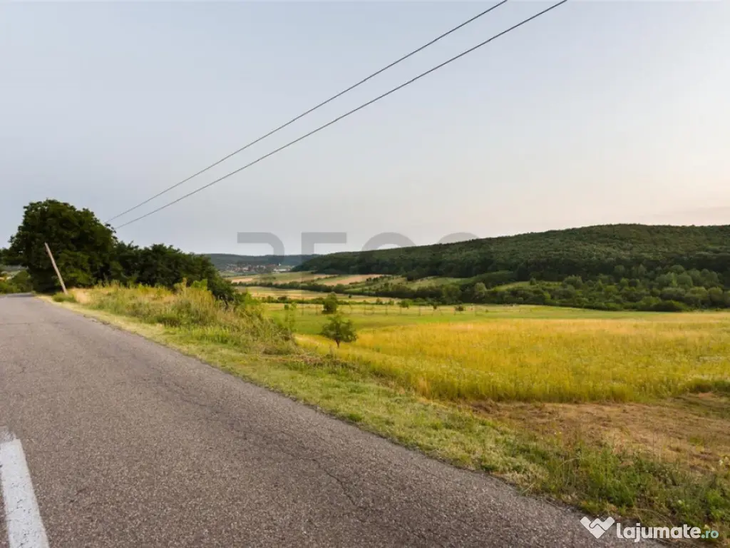 RECO Teren extravilan 11500 mp -Lazareni 