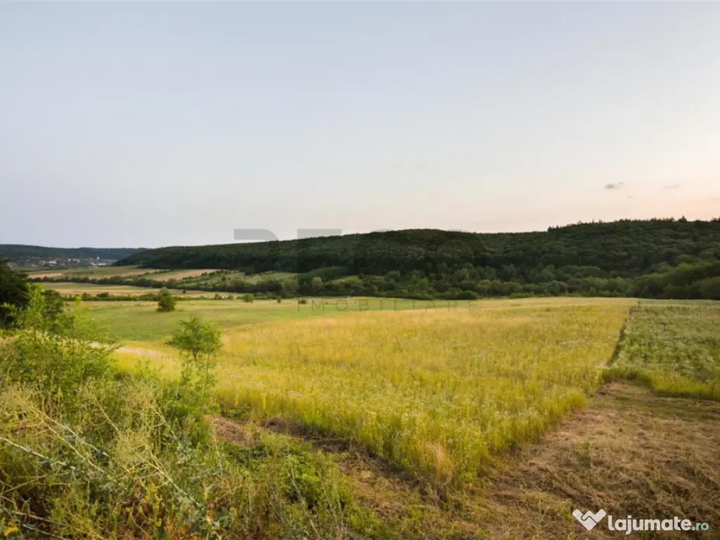 RECO Teren extravilan 11500 mp -Lazareni 
