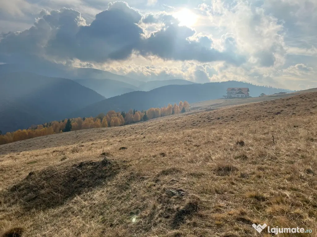 Teren de vânzare –ideal pentru cabană – Zona Vălari, Păltiniș(6131 m)
