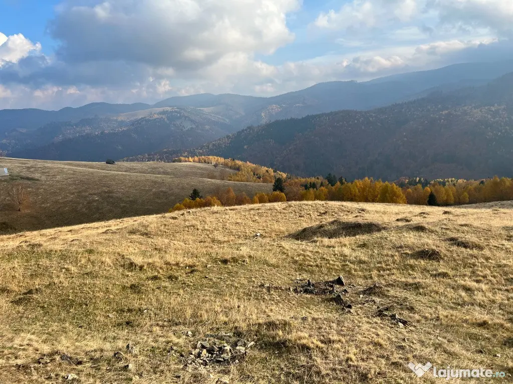 Teren de vânzare –ideal pentru cabană – Zona Vălari, Păltiniș(6131 m)