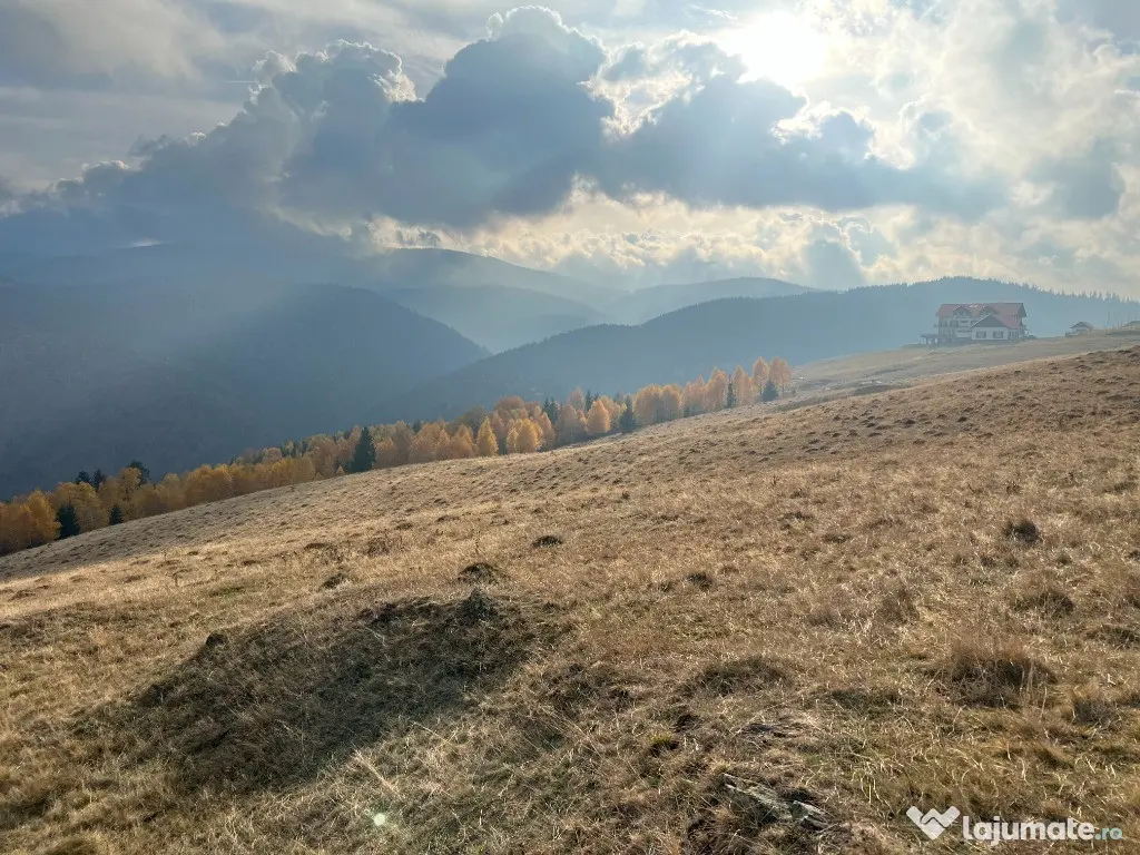 Teren de vânzare –ideal pentru cabană – Zona Vălari, Păltiniș(6131 m)