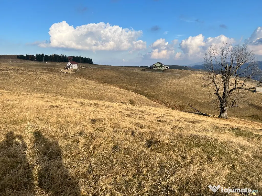 Teren de vânzare –ideal pentru cabană – Zona Vălari, Păltiniș(6131 m)