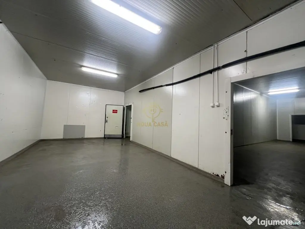 De inchiriat Camere Frigo Congelare/Refrigerare-Suprafete... 