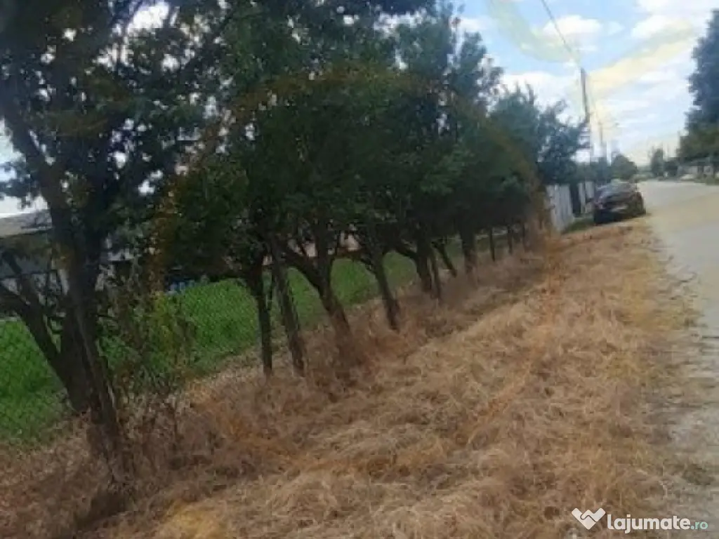 0% COMISION - TEREN GENEROS 5000 MP GOLESTI - ARGES 