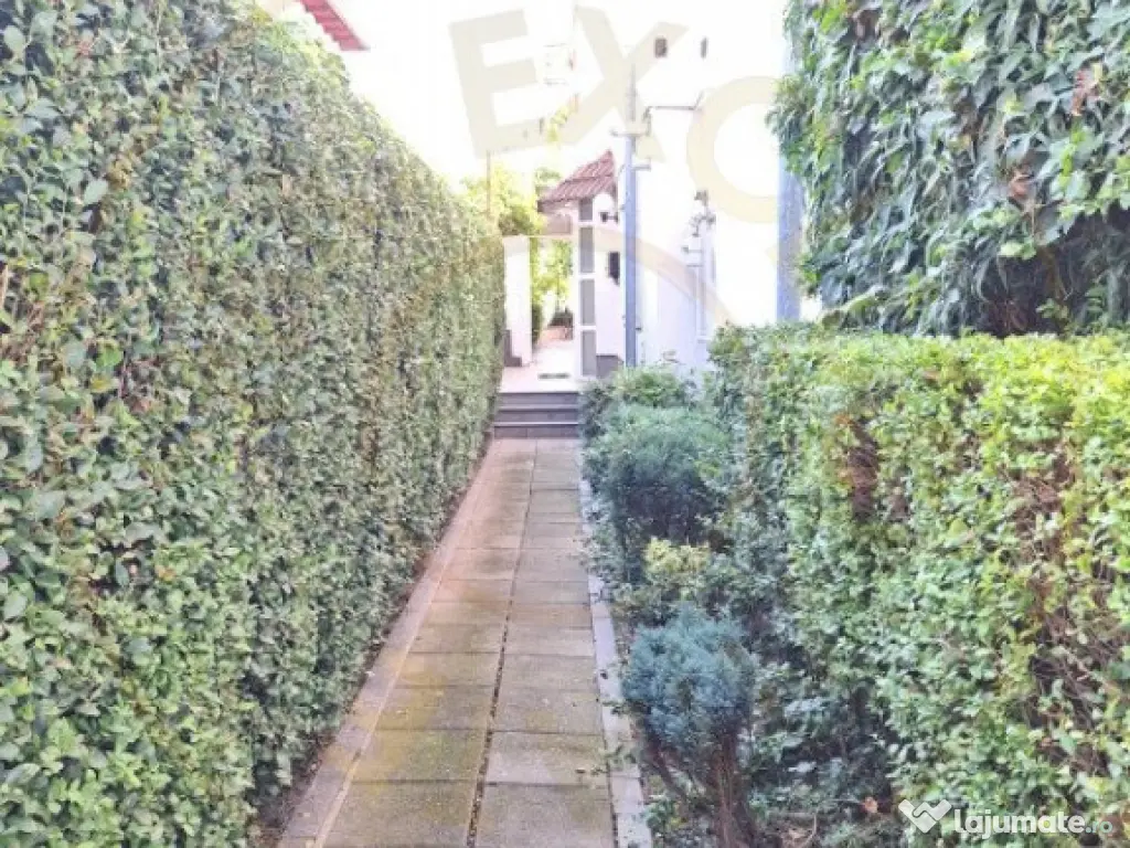 Casa Pitesti Exercitiu zona centrala 