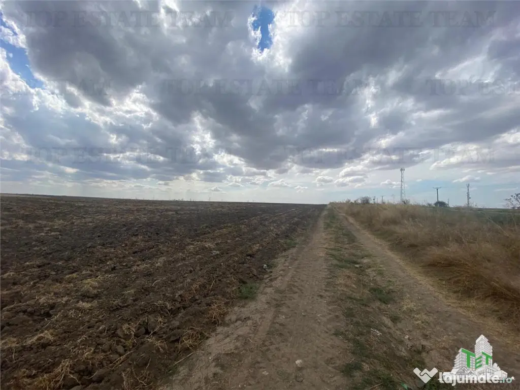 Teren extravilan in Mihail Kogalniceanu, Constanta 