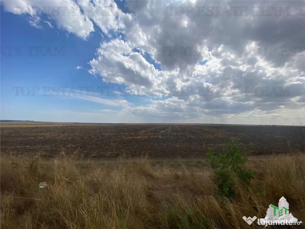 Teren extravilan in Mihail Kogalniceanu, Constanta 