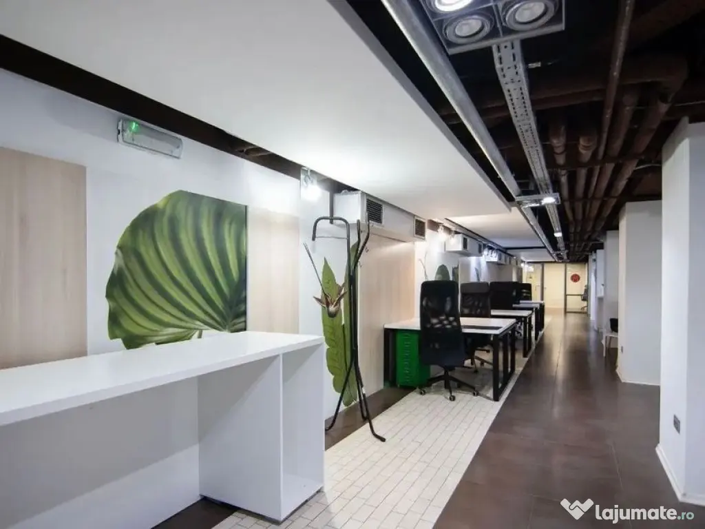 Kiseleff-Piata 1Mai subsol si Parter amenajat si utilat