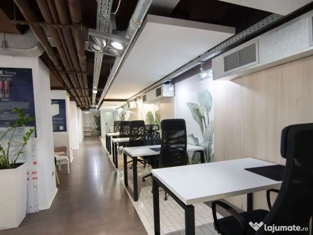 Kiseleff-Piata 1Mai subsol si Parter amenajat si utilat