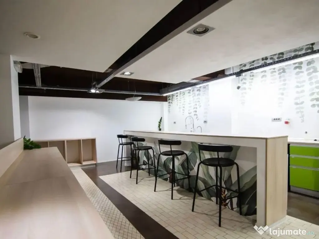 Kiseleff-Piata 1Mai subsol si Parter amenajat si utilat