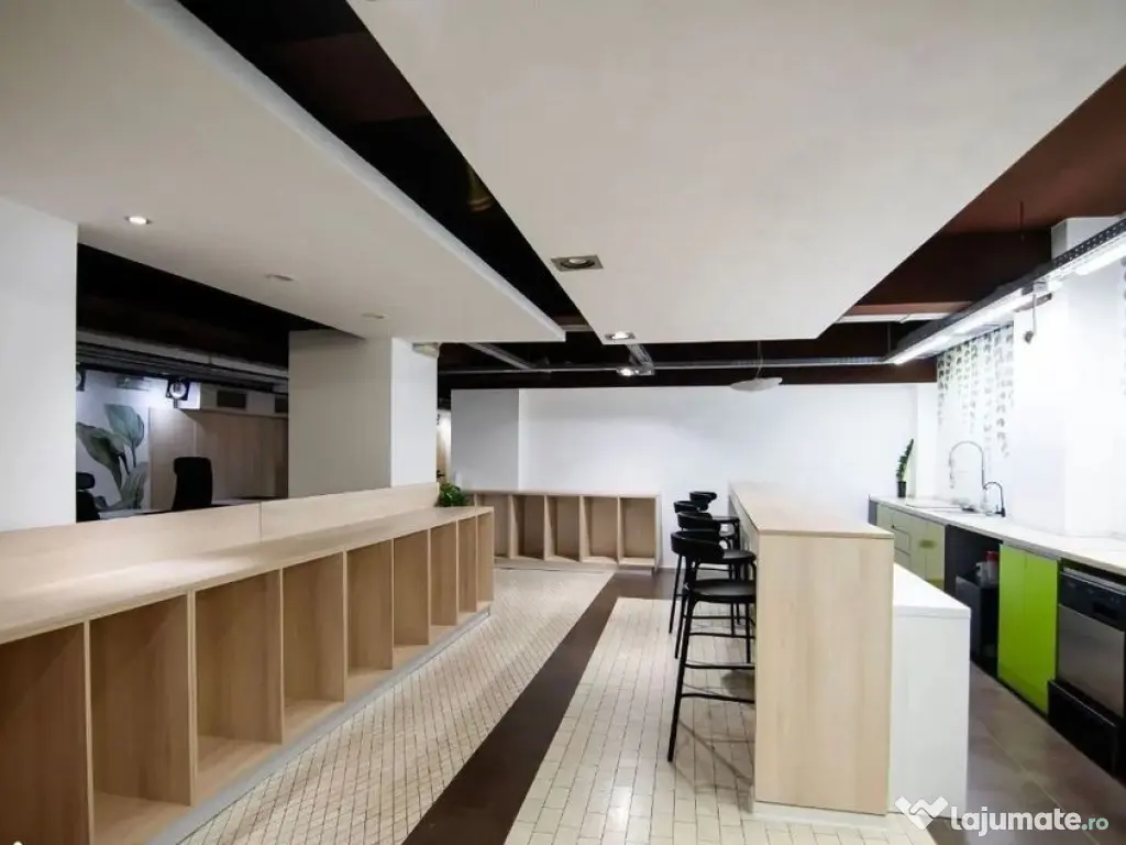 Kiseleff-Piata 1Mai subsol si Parter amenajat si utilat