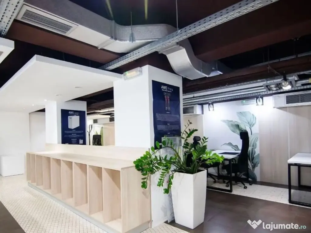 Kiseleff-Piata 1Mai subsol si Parter amenajat si utilat