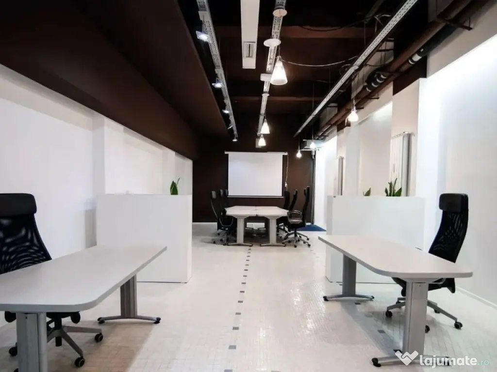 Kiseleff-Piata 1Mai subsol si Parter amenajat si utilat