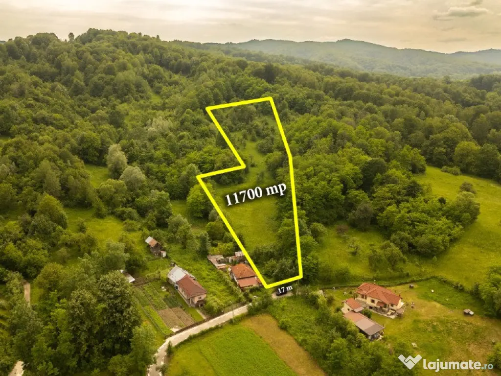 Teren 11700 mp în Valea Lungă, o oază de liniște, aer curat, verdeață