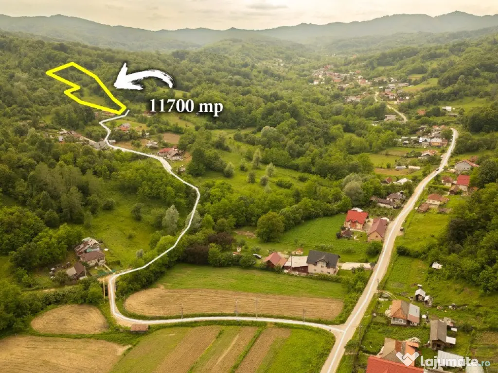 Teren 11700 mp în Valea Lungă, o oază de liniște, aer curat, verdeață