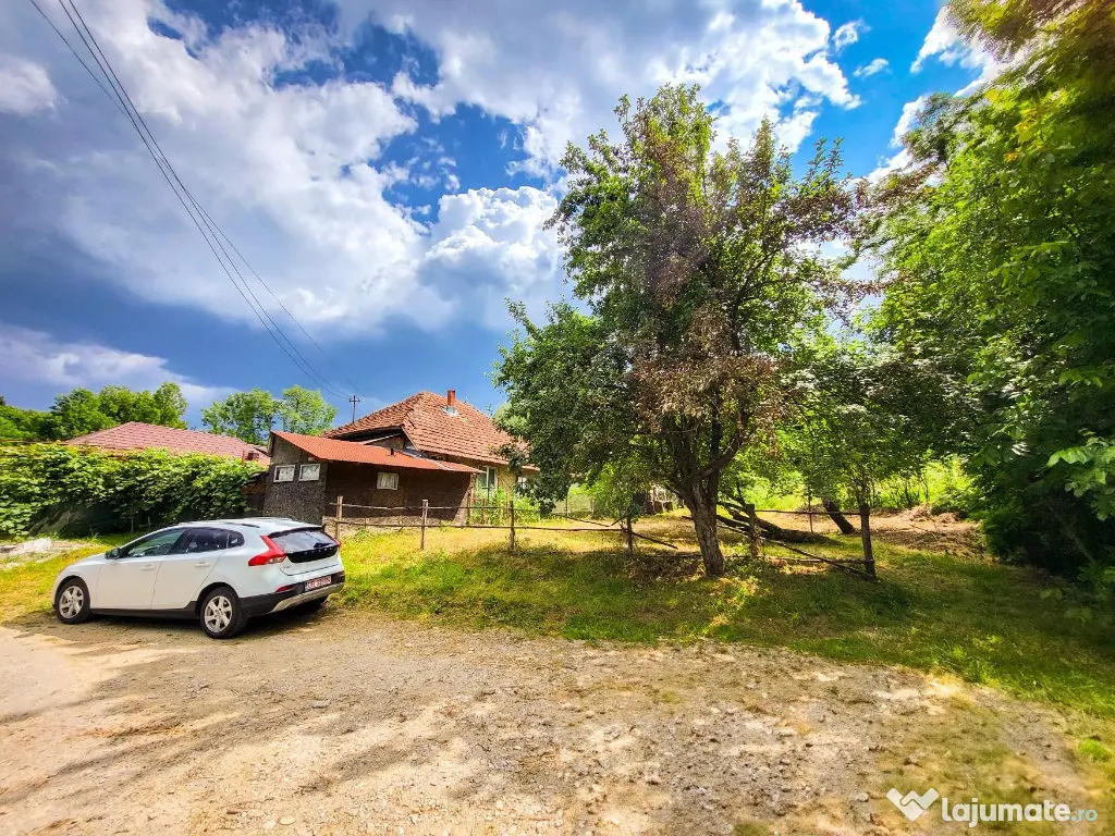 Teren 11700 mp în Valea Lungă, o oază de liniște, aer curat, verdeață