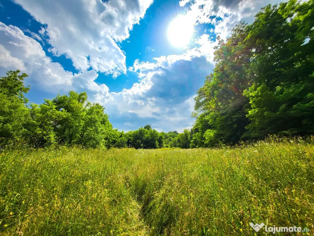 Teren 11700 mp în Valea Lungă, o oază de liniște, aer curat, verdeață