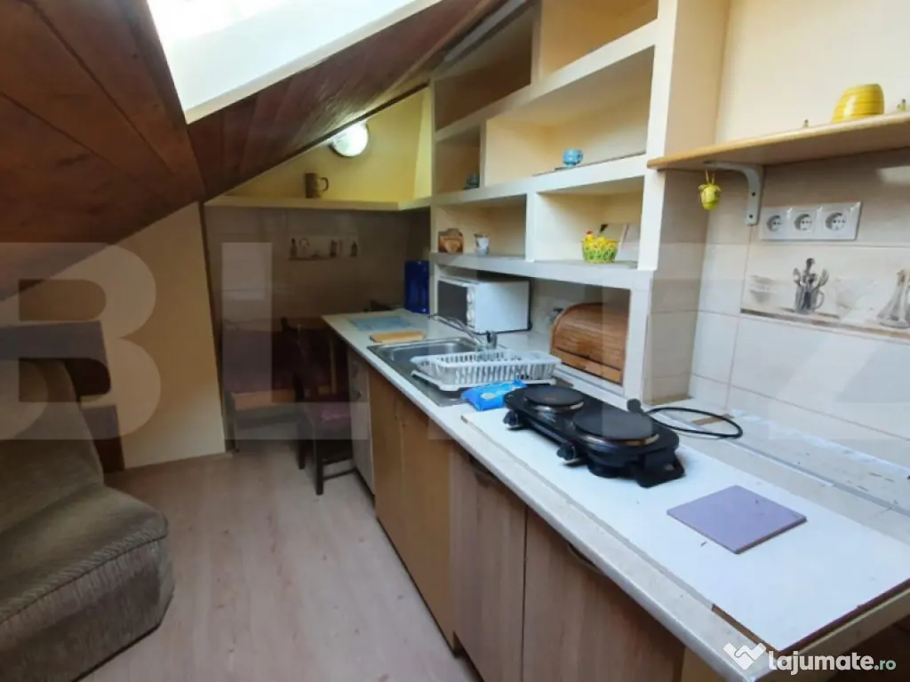 Apartament la casa,1 camera, 30 mp, zona strazii Artelor