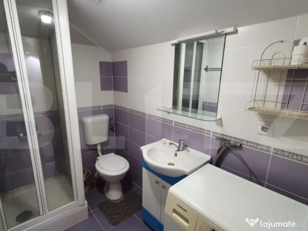 Apartament la casa,1 camera, 30 mp, zona strazii Artelor