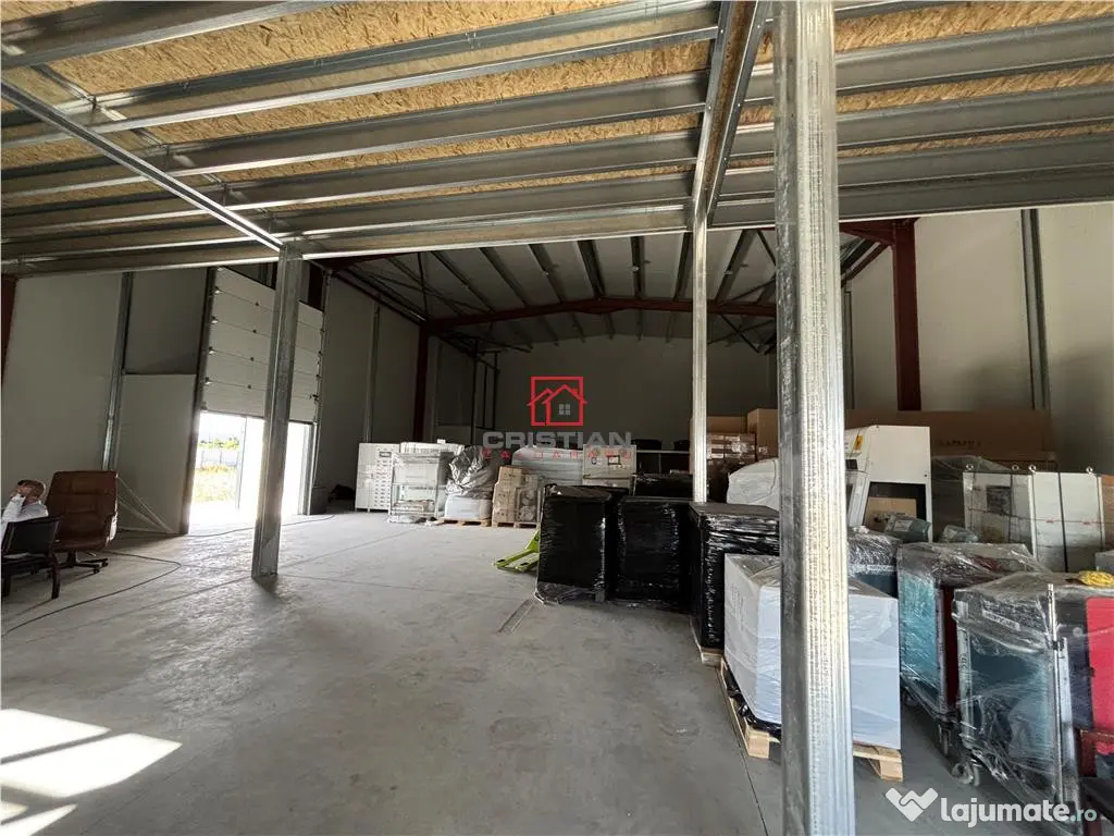 Depozit/hala/spatiu industrial Theodor Pallady - Drumul Int 
