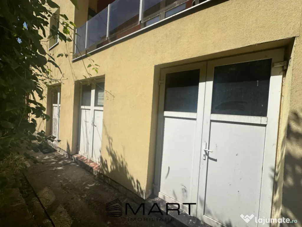 Spatiu Depozitare Avram Iancu