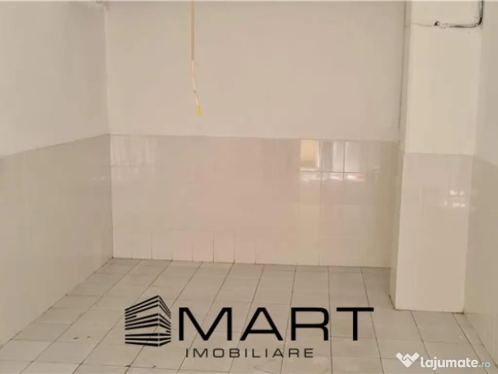 Spatiu Depozitare Avram Iancu