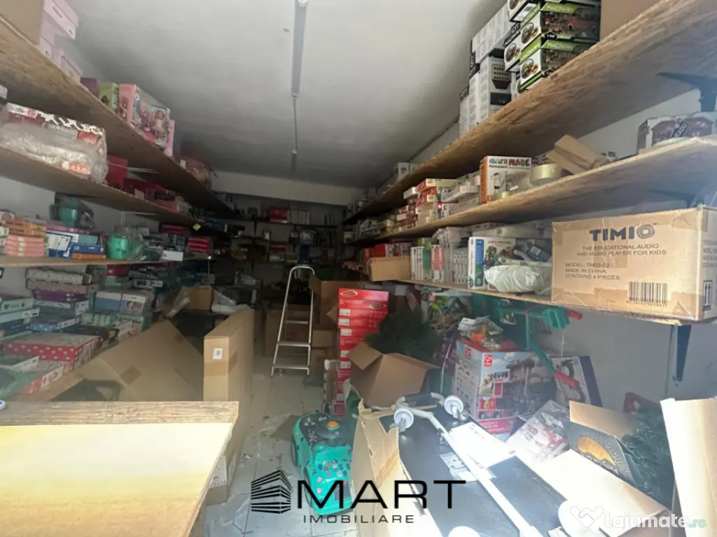 Spatiu Depozitare Avram Iancu