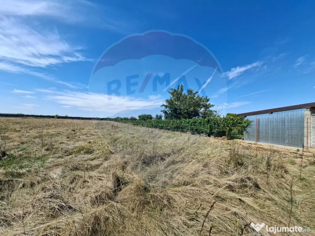 Teren ideal pentru complex rezidențial – Aradul Nou 