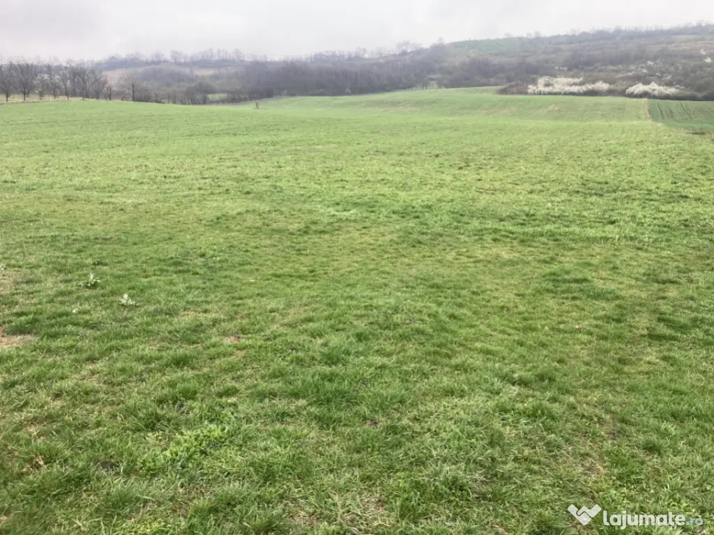 Miroslava! Teren agricol 6435, la 2 min de Primarie! 