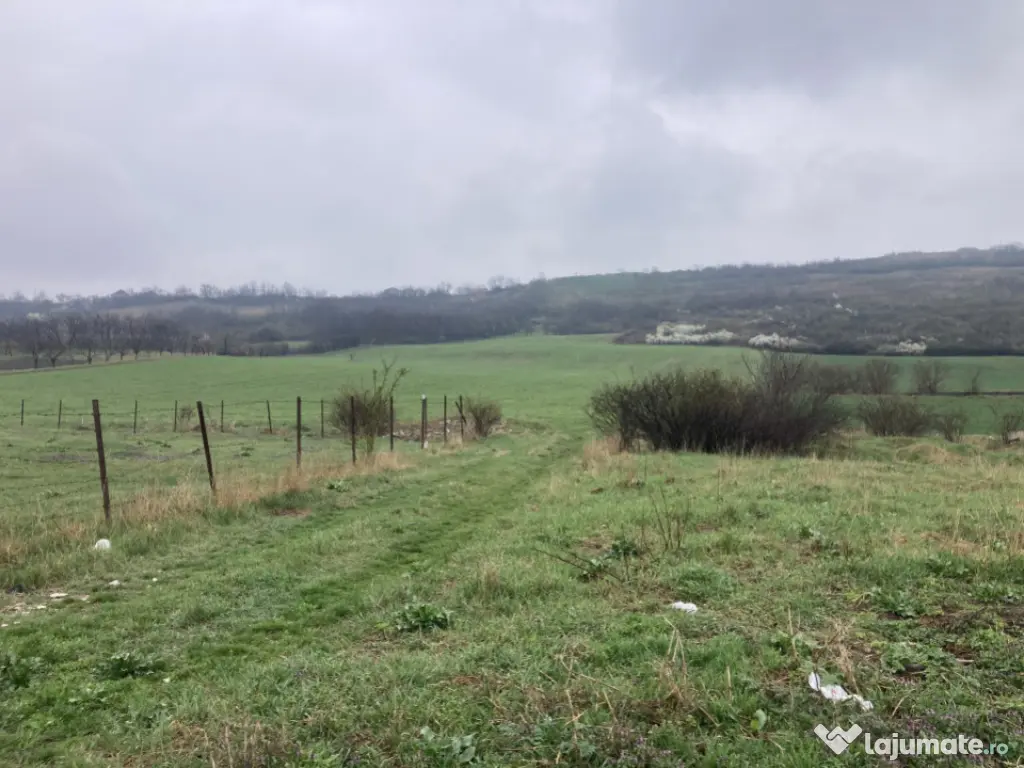 Miroslava! Teren agricol 6435, la 2 min de Primarie! 