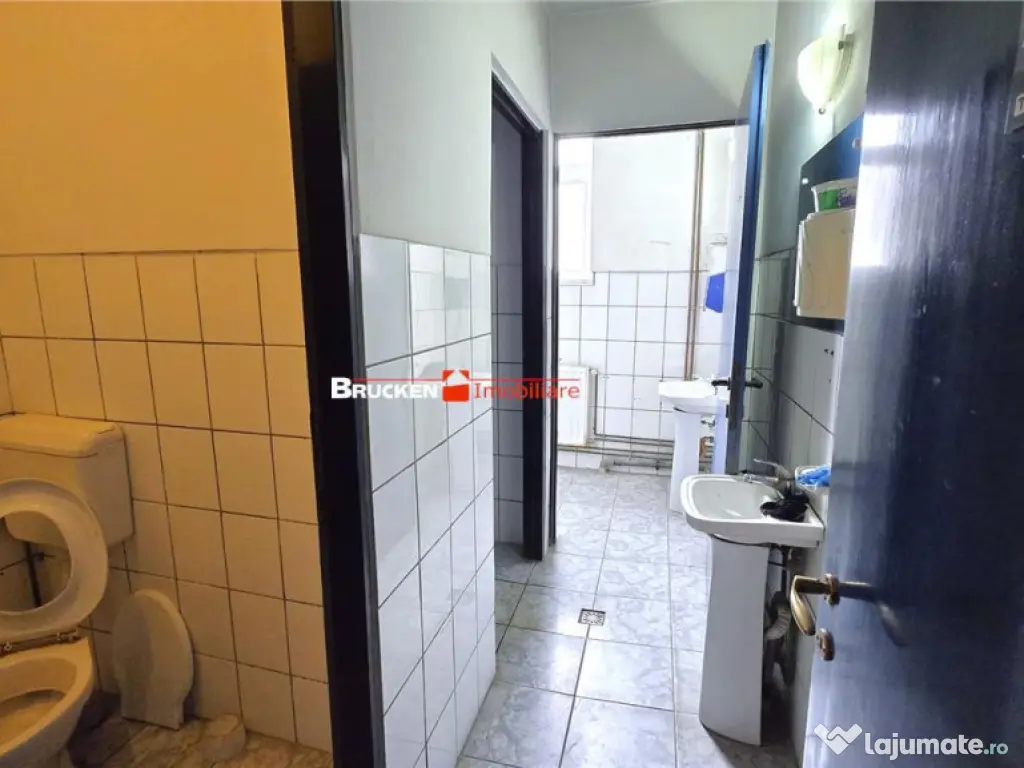 Showroom cu hala si spatiu locativ – Marghita, Bihor